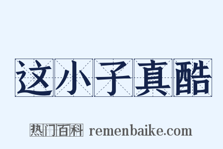 这小子真酷是什么意思的图片